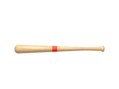 Baseball Bat 3D model