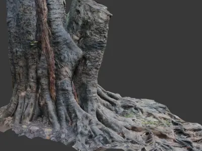Ancient Tree Stump with Roots scan Low-poly 3D model