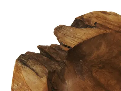 POLYPASTA - wooden bowl teak 01 3D model