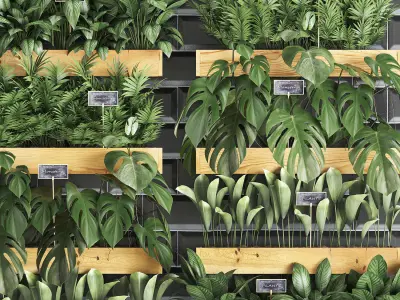 wooden flower boxes  vertical garden 39 3D model