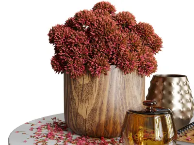 Aloysia Rattan decorative set 3D model