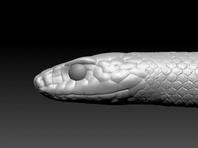 Black Snake Zbrush Model 3D model
