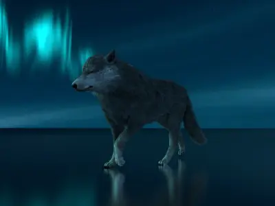 Grey wolf rigged and animated and polar light 3D model