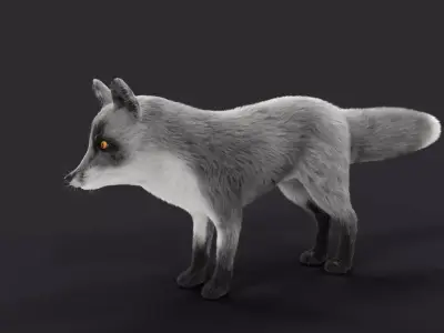 Fur Gray Fox Model Low-poly 3D model