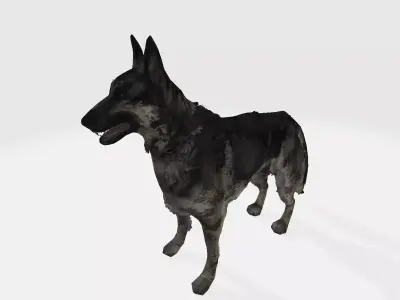 German shepherd 3D model
