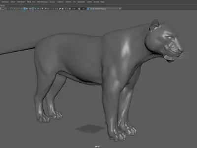 Tiger Low-poly 3D model