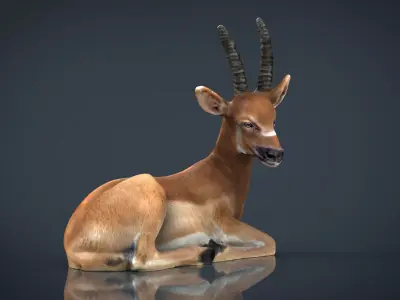 African Antelope Low-poly 3D model