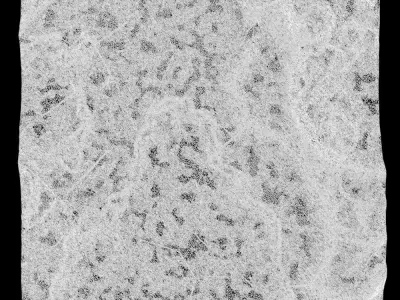 325-RockPanel piece of rock 3D model