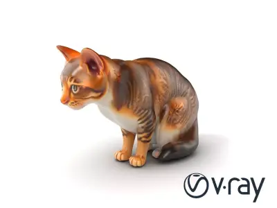 Realistic Domestic Cat Character model pack Low-poly 3D model