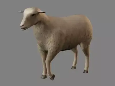 Sheep Animations- LowPoly- Game Ready Low-poly 3D model