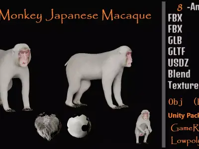 Snow Monkey Japanese Macaque Low-poly 3D model