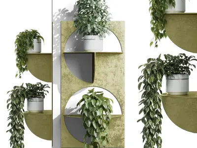 wall plant - set Indoor plant 365 plants in on a shelf Low-poly 3D model