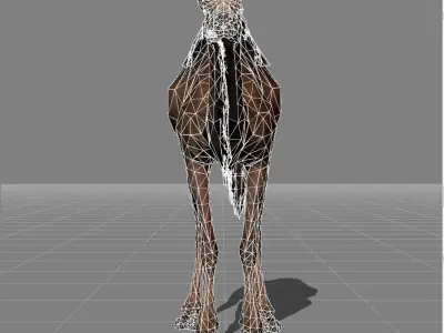 Camel animal 3D model