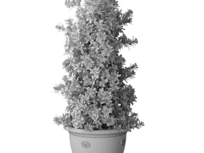 Decorative Magnolia tree in a classic garden pot vase  3D model