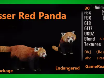 Lesser Red Panda Low-poly 3D model