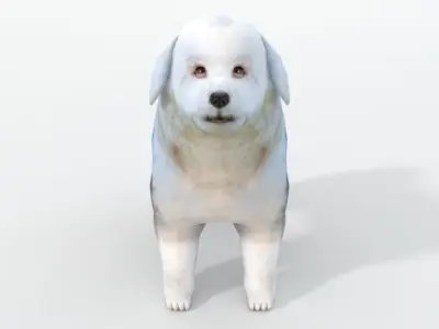 Old English Sheepdog Low-poly 3D model
