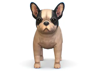 Beige French Bulldog Dog Puppy Low-poly 3D model