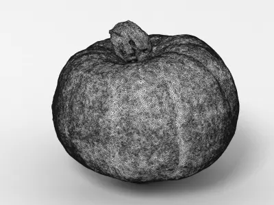 Pumpkin 3D model