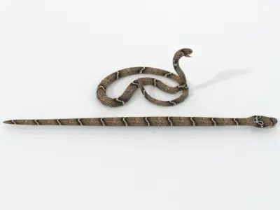  Cobra Snake Low-poly 3D model