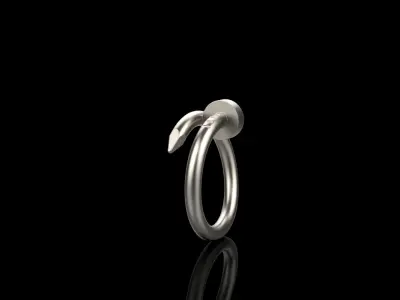 Ring model 616 3D print model