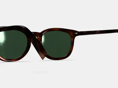 Ryland Sunglasses in Cognac Tortoise 3D model