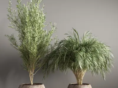 indoor plant stand 20 3D model