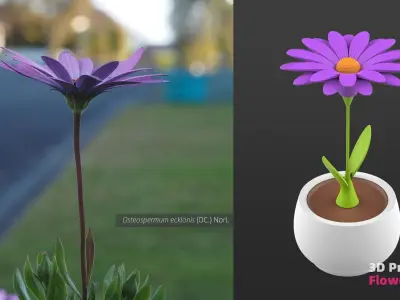 3D printable Flower Pots 3D print model
