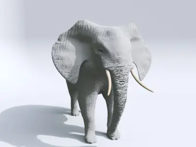 Elephant Low-poly 3D model