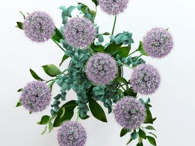 Alliums and Eucalyptus plus Tangerine branches and Palm leaf 3D model