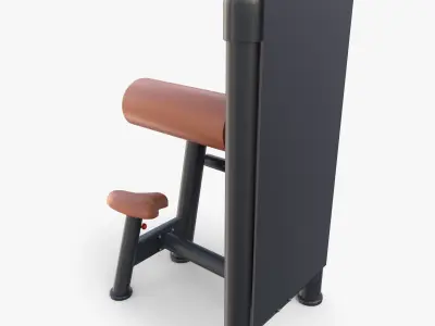 Curl machine 3D model