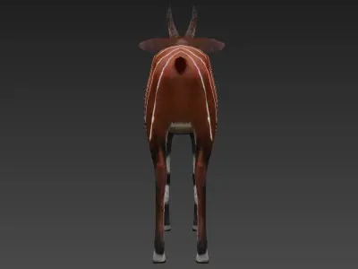 antelope Low-poly 3D model