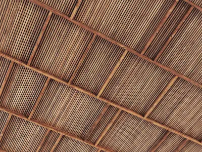 Ceiling straight thin branch n6 3D model