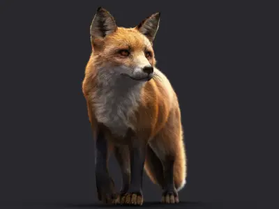 FOX RIG XGEN CORE 3D model