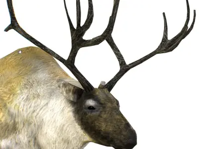 LowPoly Realistic Reindeer Low-poly 3D model