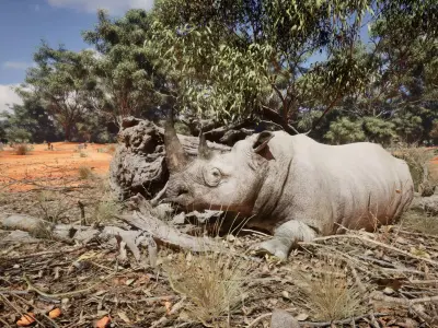 African Rhinoceros Low-poly 3D model