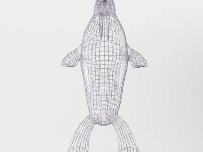 Walrus Low-poly 3D model purchase
