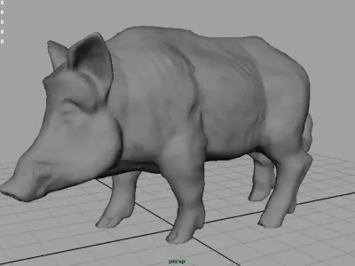 Wild Boar Low-poly 3D model buy