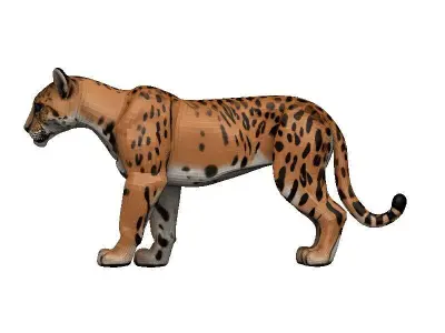 Florida Panther Low-poly 3D model