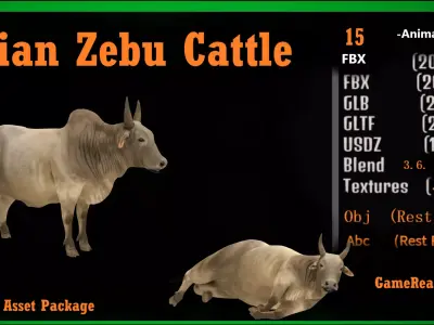 Asian Zebu Cattle Low-poly 3D model