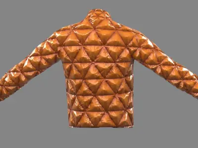 bump jacket  Low-poly 3D model