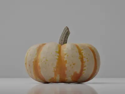 Photoreal Decorative Pumpkin Scan 01 3D model