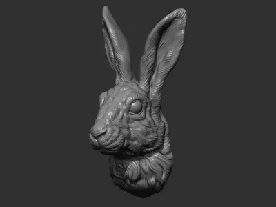 Hare head 3D print model