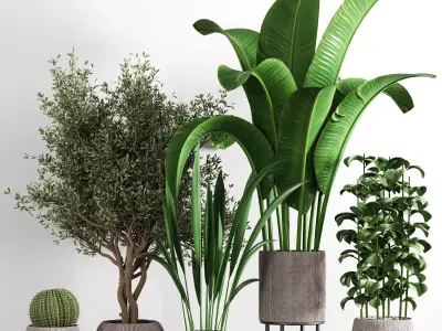 indoor plant stant 42 3D model