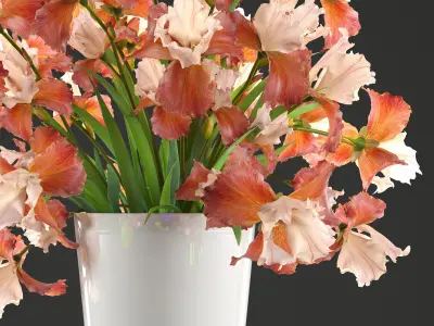 Flower bouquet iris 3D model