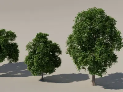 Set Trees Free 3D model