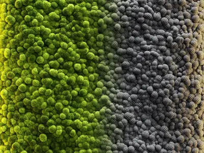 Moss wall 2 3D model