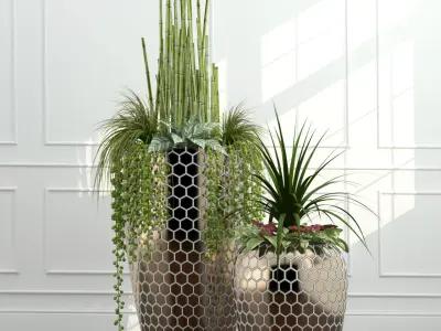 Room plants 3D model