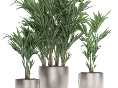 Decorative palm in a flowerpot 696 3D model