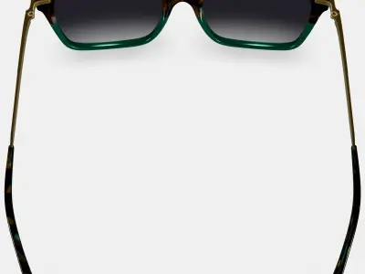 Vela Sunglasses in Aventurine Tortoise with Polished Gold 3D model