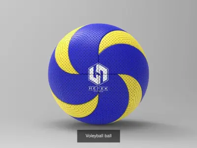 Balls volleyball ball with design 3D Model Pack